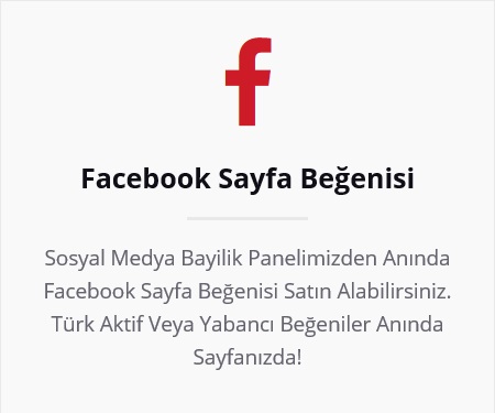 facebook sayfa beğenisi satın al